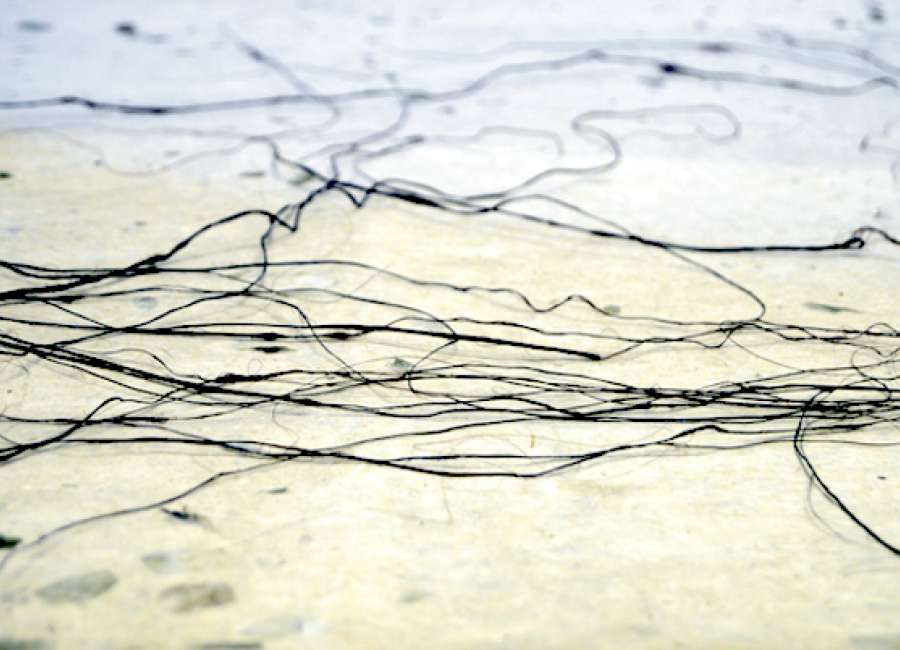 Artist uses own hair in works