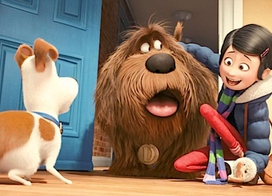 Funny 'Secret Life of Pets' offers up few secrets - The Newnan Times-Herald Funny 'Secret Life of Pets' offers up few secrets - The Newnan Times-Herald