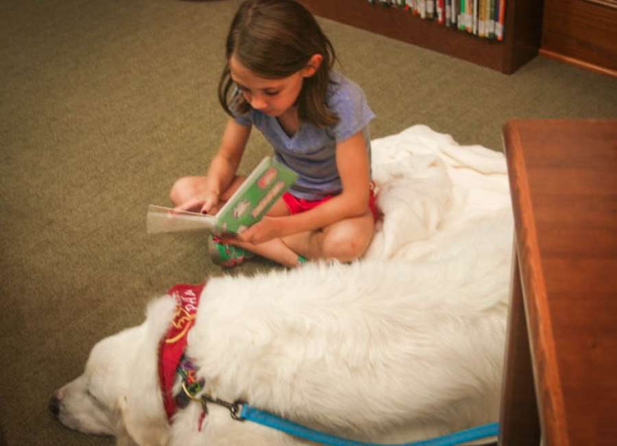 Children can improve reading skills by reading to therapy dogs