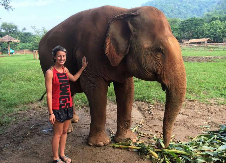 Sharpsburg native travels to Thailand to work with elephants