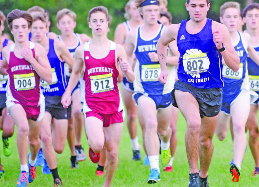 Newnan lineups shuffle to top of Cup standings