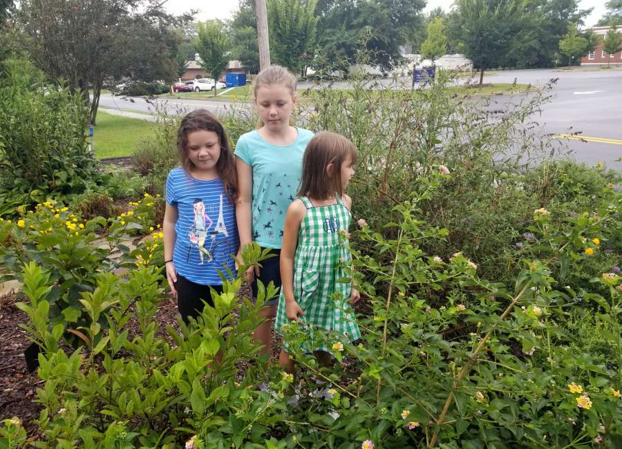  Pollinator gardens increase interest in insects