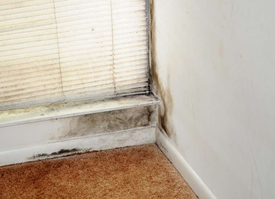 Bill would protect tenants facing unhealthy living conditions