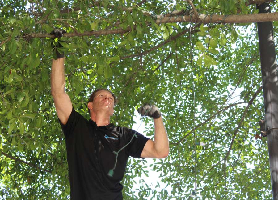 Newnan Christmas Commission seeks help to ‘Light up the Town’
