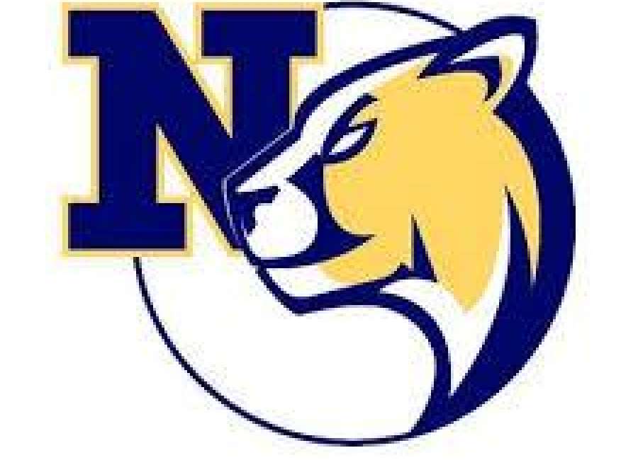 Newnan splits basketball games with Paulding