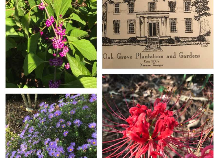 Oak Grove free fall tour Saturday