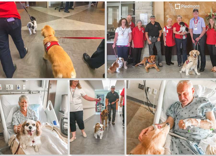 Paws and patients: Therapy dogs visit Piedmont Newnan