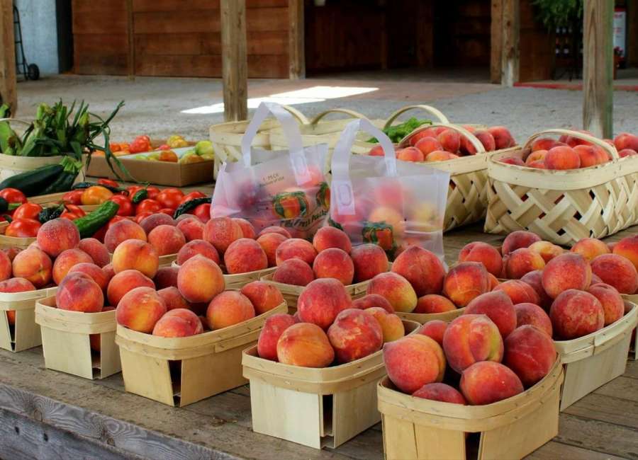 Peach recipe contest to be held at Lake Meriwether festival
