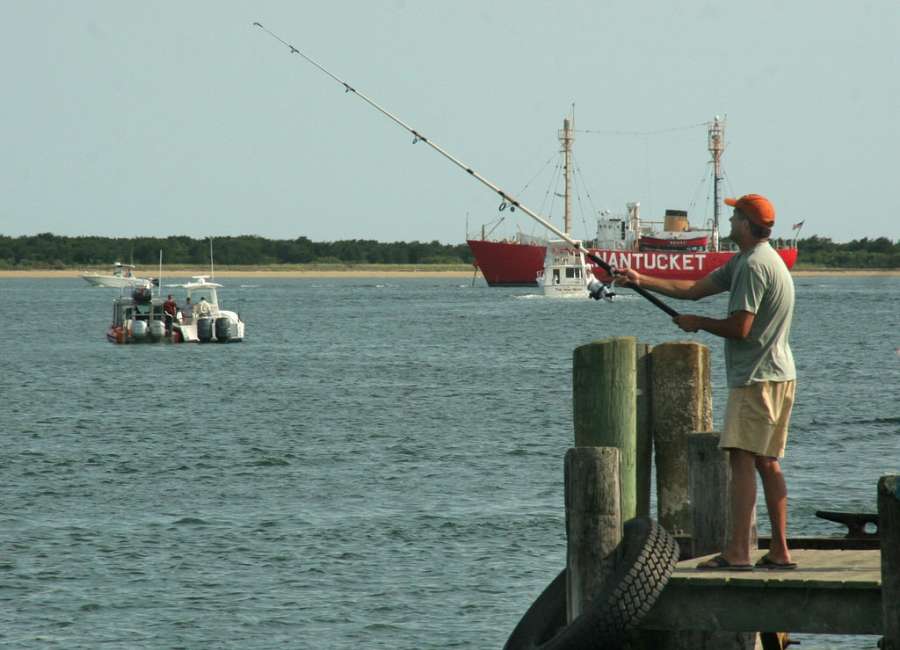 Recreational fishing rules to be overhauled under new law