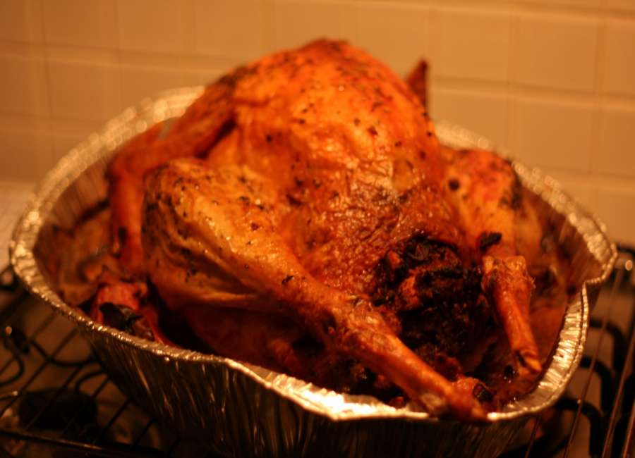 Tips to keep your Thanksgiving food safe