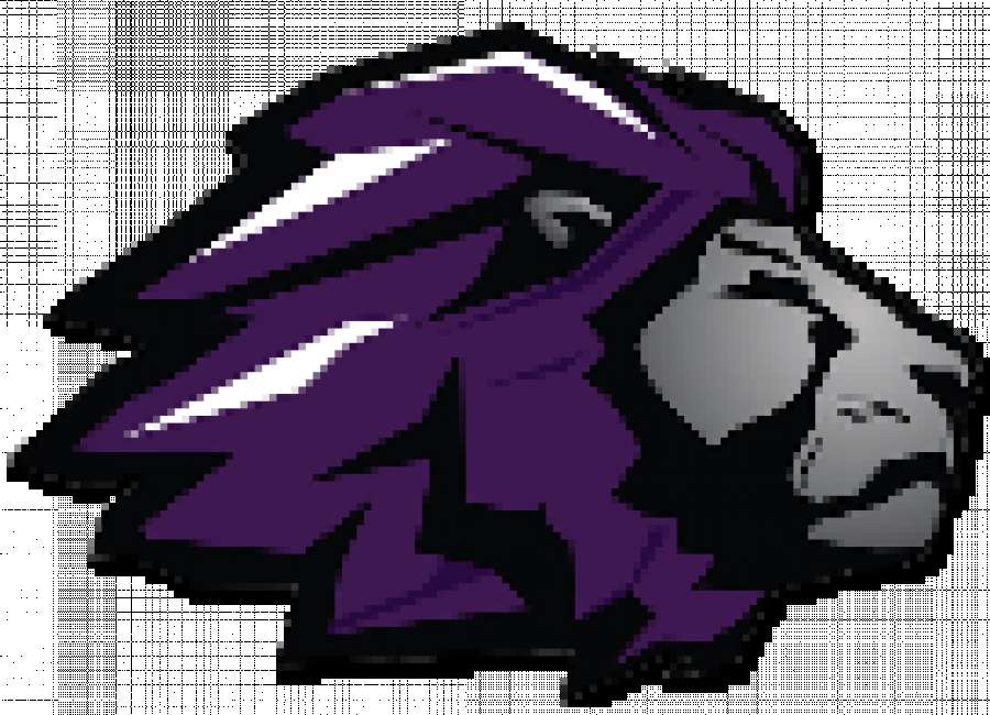 Trinity falls on softball diamond to Eagle's Landing Christian