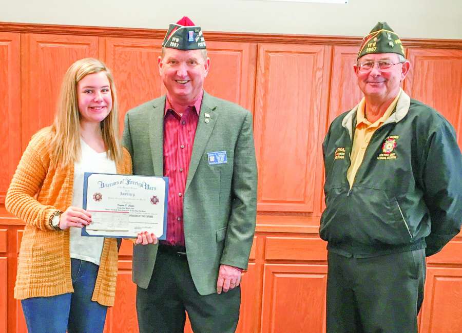 Vfw veterans essay image