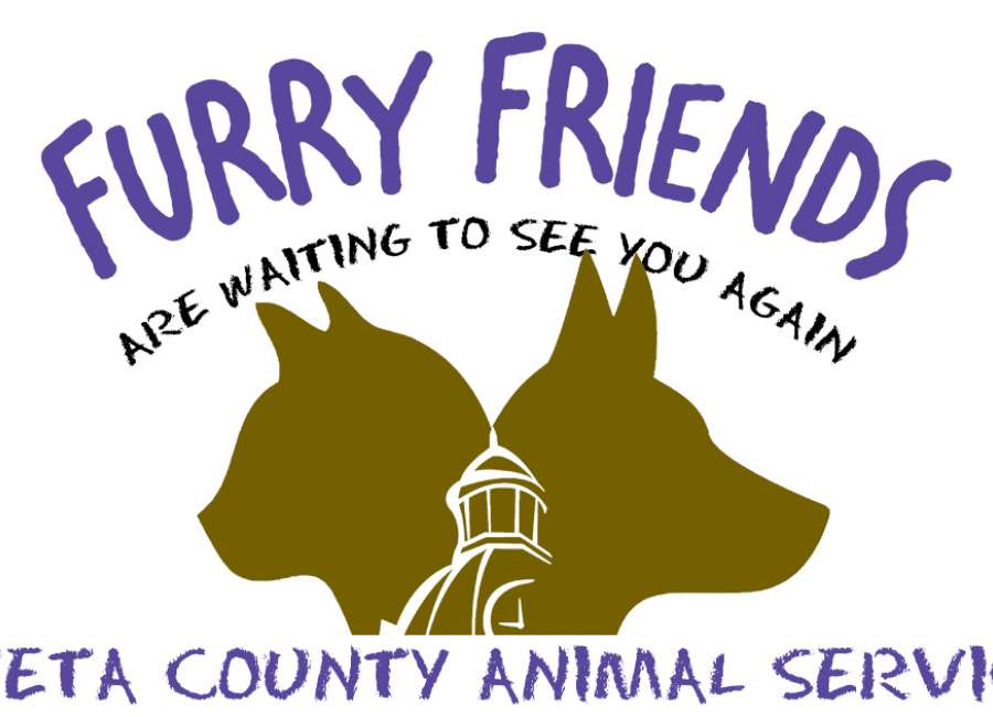 Adoptions back on at Animal Services