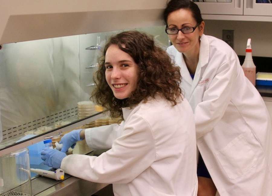 Application deadline for UGA Young Scholars Program is Jan. 31