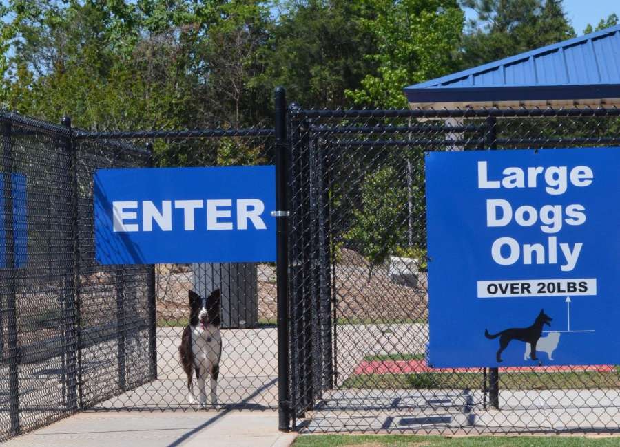 City opens parks; B.T. Brown reopens