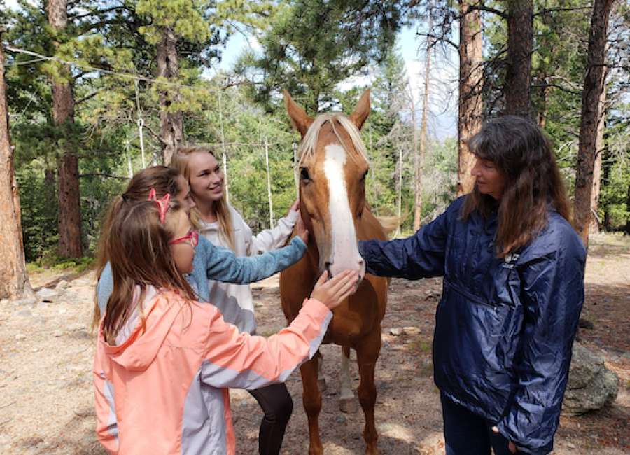 Cowetans place in 4-H state equine competition