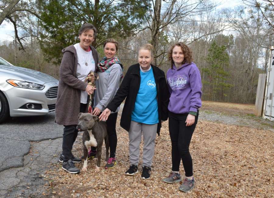 From Coweta to Canada: rescue dogs heading to new homes