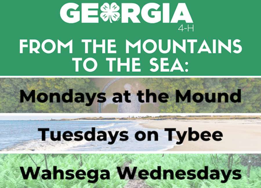 Georgia 4-H offers virtual environmental education series
