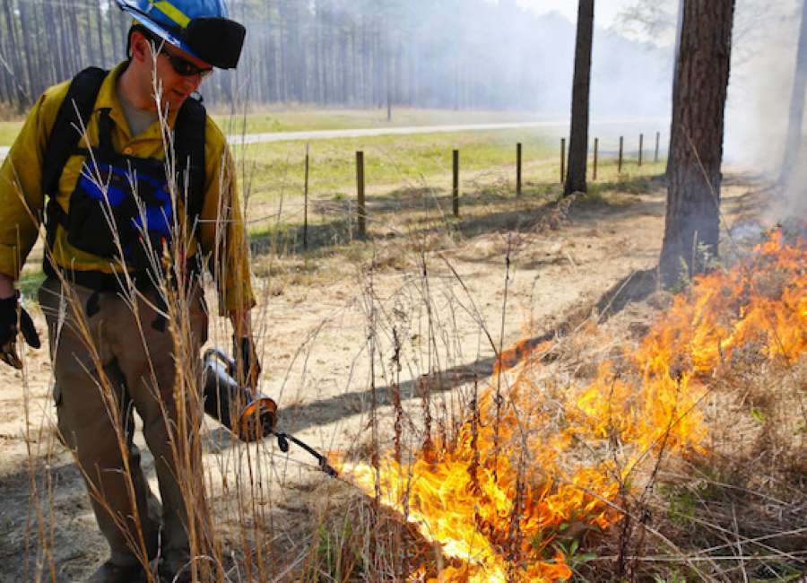 Georgia burn ban to end Sept. 30
