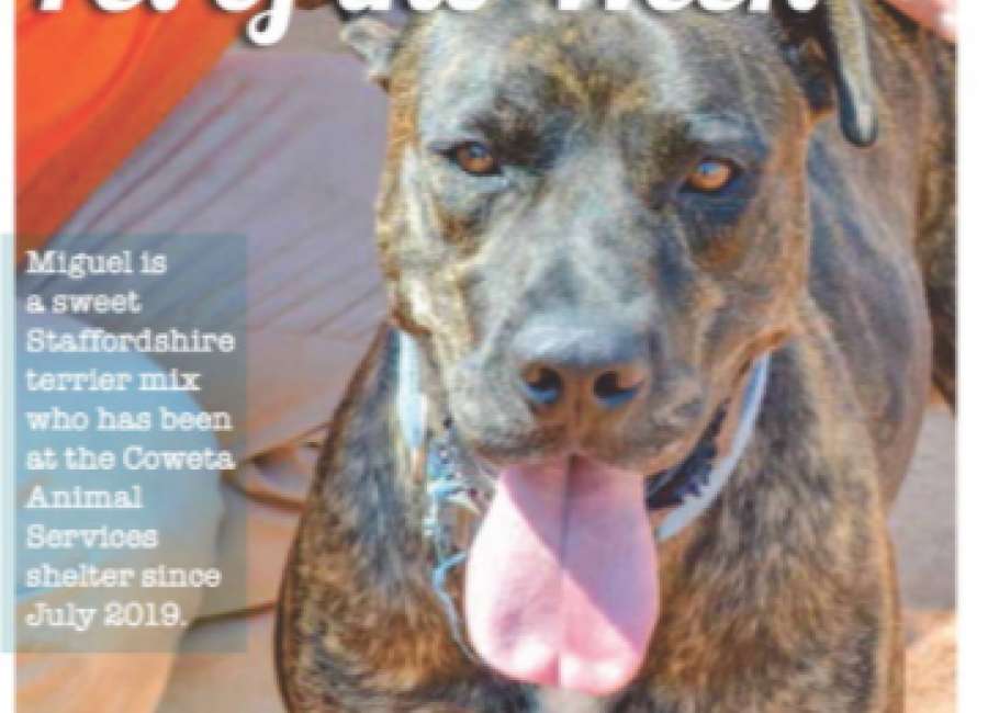 Pet of the Week: Miguel
