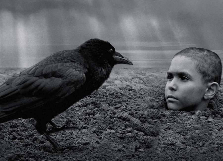 The Painted Bird: Bleak Czech film isn’t for everyone