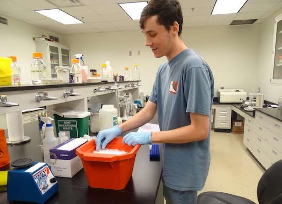 UGA to offer high school students paid research internships