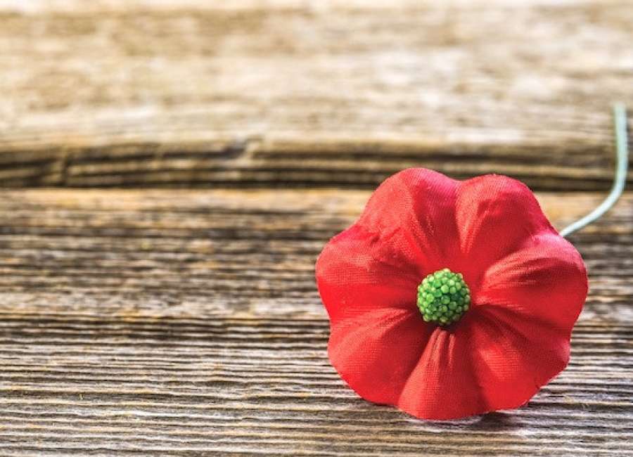 VFW cancels Buddy Poppy drive