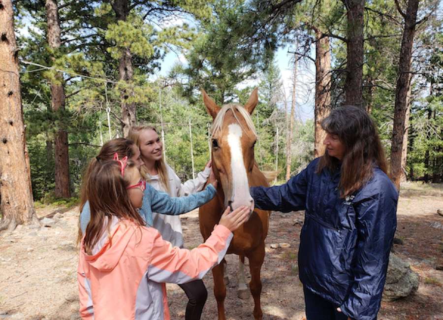 4-H Horse Quiz Bowl Teams will advance to state competition