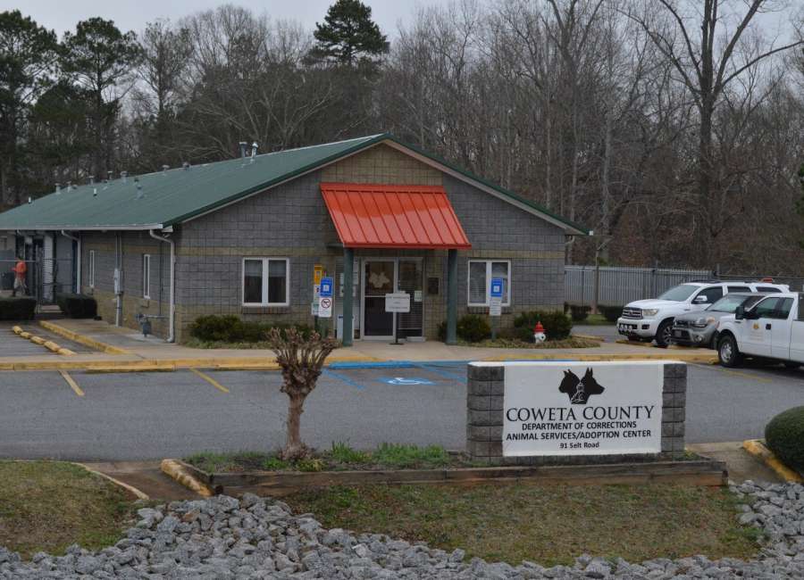 Adoption center, night court among county facility options