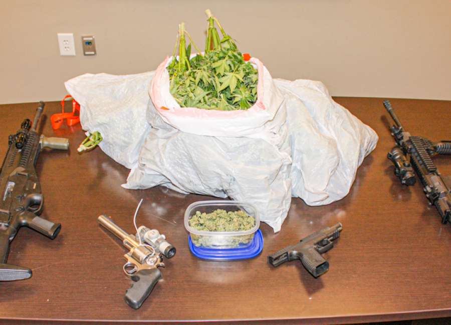 CCSO: Pest control employee discovers marijuana plants