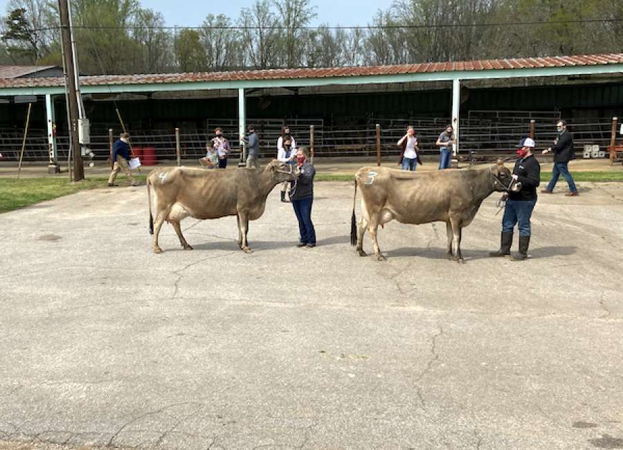 Coweta 4-H’ers place in state dairy judging contest