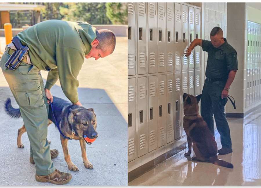 Coweta K-9 unit prepares for the upcoming school year