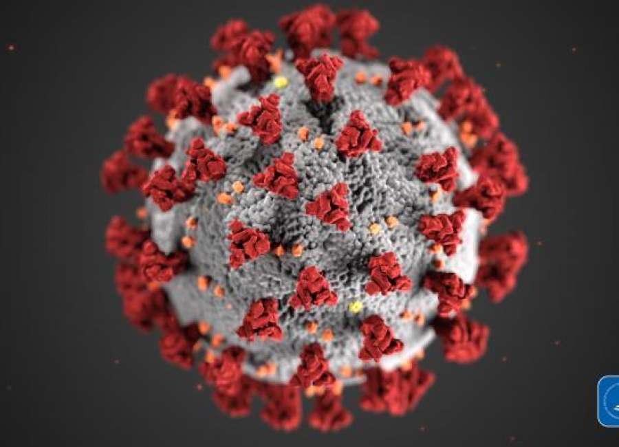 Georgia COVID-19 cases hit new high