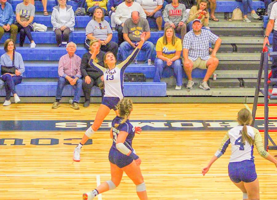 Lady Cougars fall just short in second round