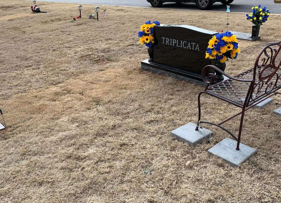New bench replaces one taken from grave