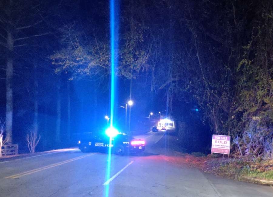 NPD investigating fatal hit and run