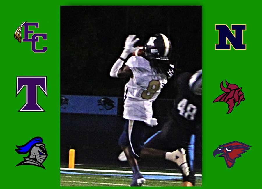 Pigskin Previews – Week Eight