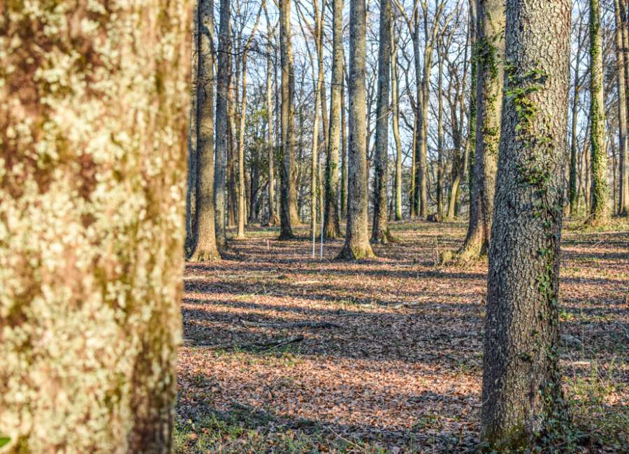 Research connects Newnan’s historic black churches to Farmer Street Cemetery