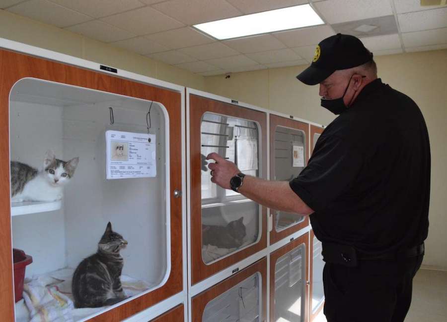 Shelter lowering rates to encourage pet adoptions