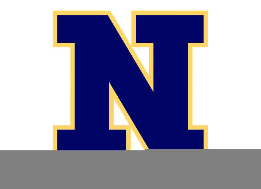 UPDATE: Suspect in NHS threats detained; school all clear