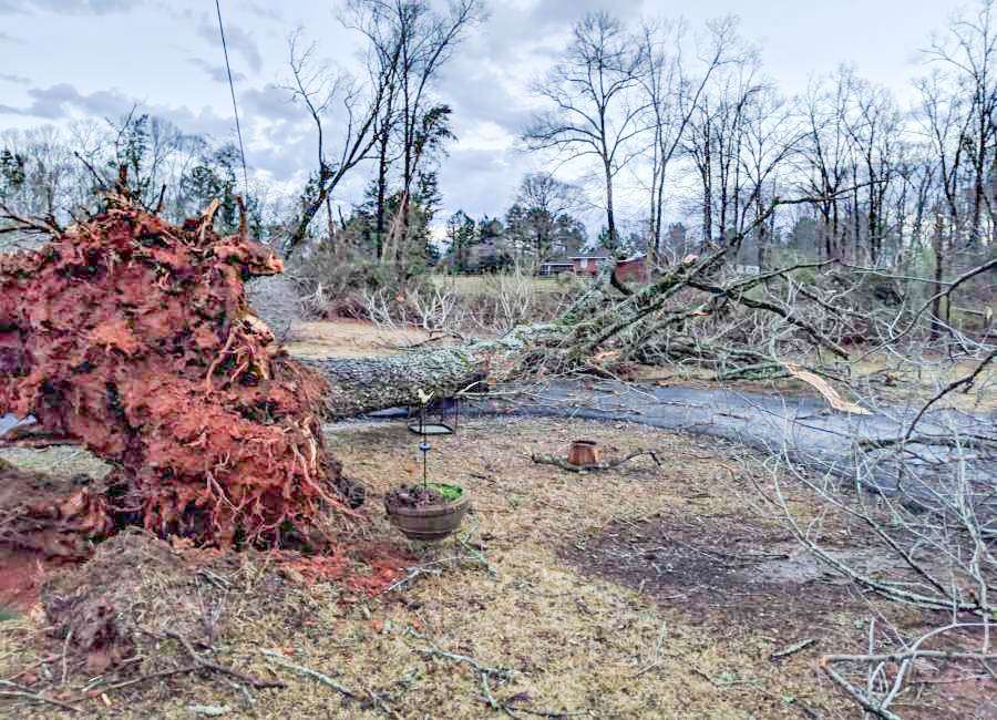 ARPA project: Clearing and hauling of downed vegetative debris