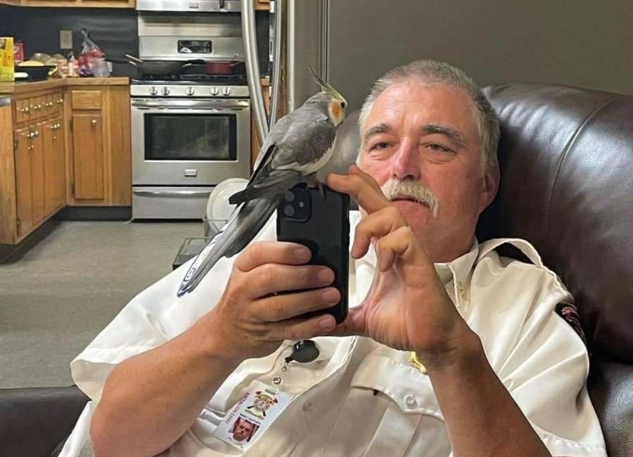Coweta firefighters reunite lost bird with owner
