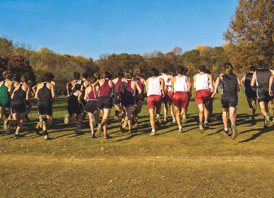 Coweta teams compete in state cross country meet