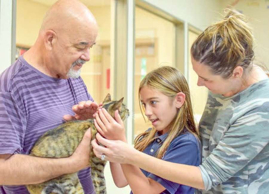 Gimme shelter: County exploring adoption center, administration shift for animal shelter