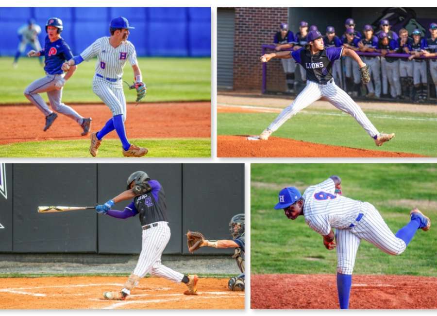 Lions and Hawks named All-Region team