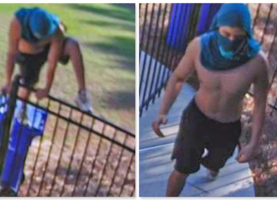 Newnan police searching for pool vandal
