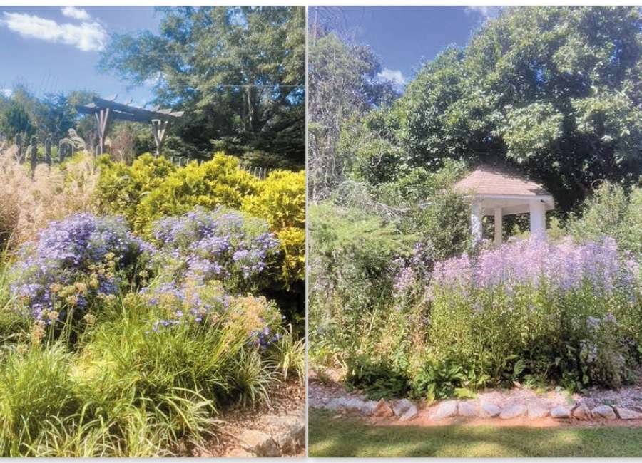 Oak Grove Gardens’ Semiannual Open Garden on Saturday