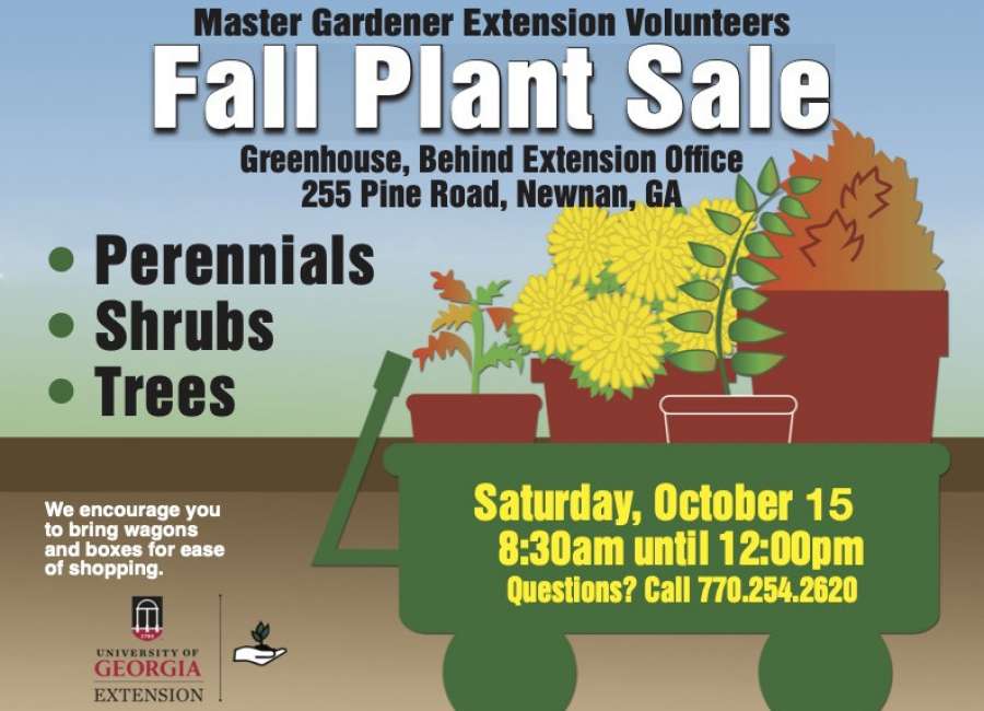Plants, plants, plants available at volunteer fall plant sale