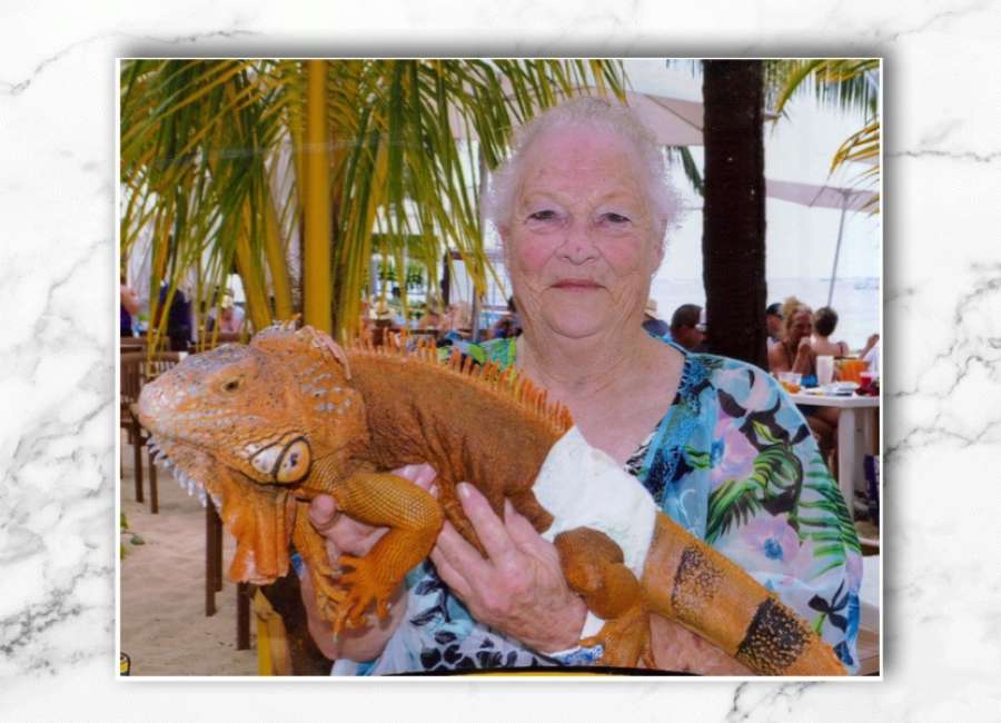 Sylvia Ann Pelletier