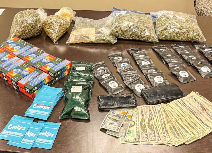Two charged in marijuana bust